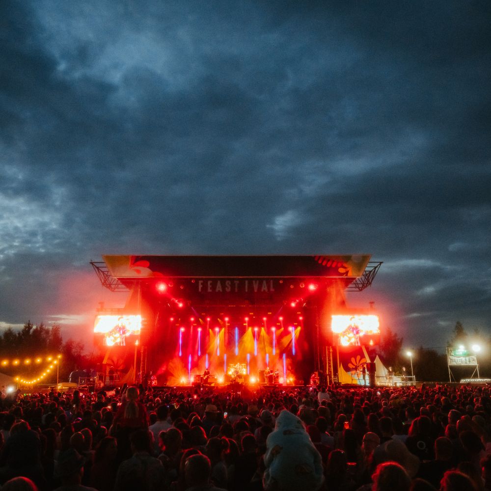 bigfeastival_laurencehowephoto-215.