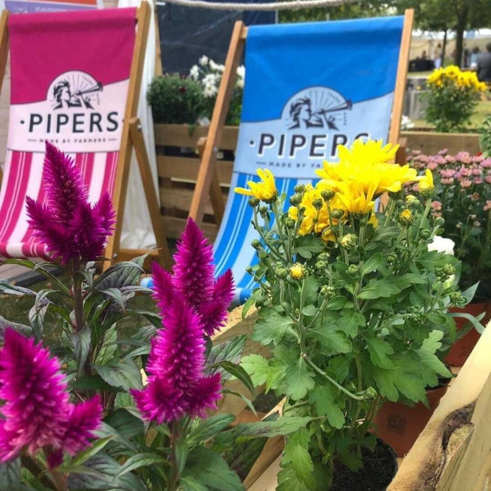 f7d53f51-69e2-4b43-8e5c-c2fd3d7baf3b.