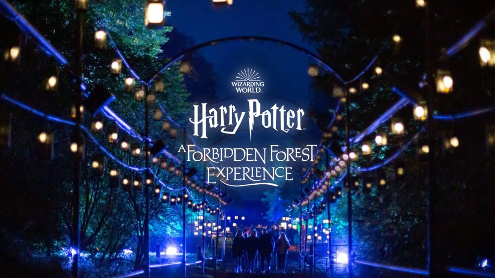 A dark entrance to the Forbidden Forest with soft blue lights.