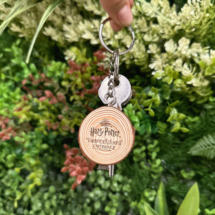 A wooden keyring held up against a forest background.