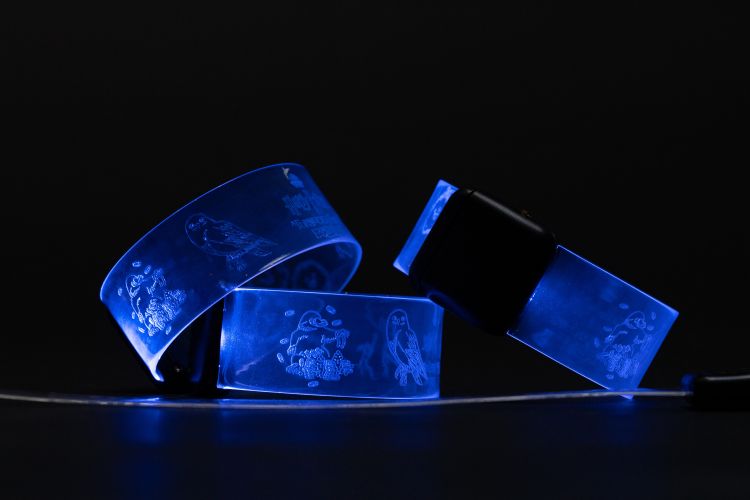 Light-up bracelets with Harry Potter details.