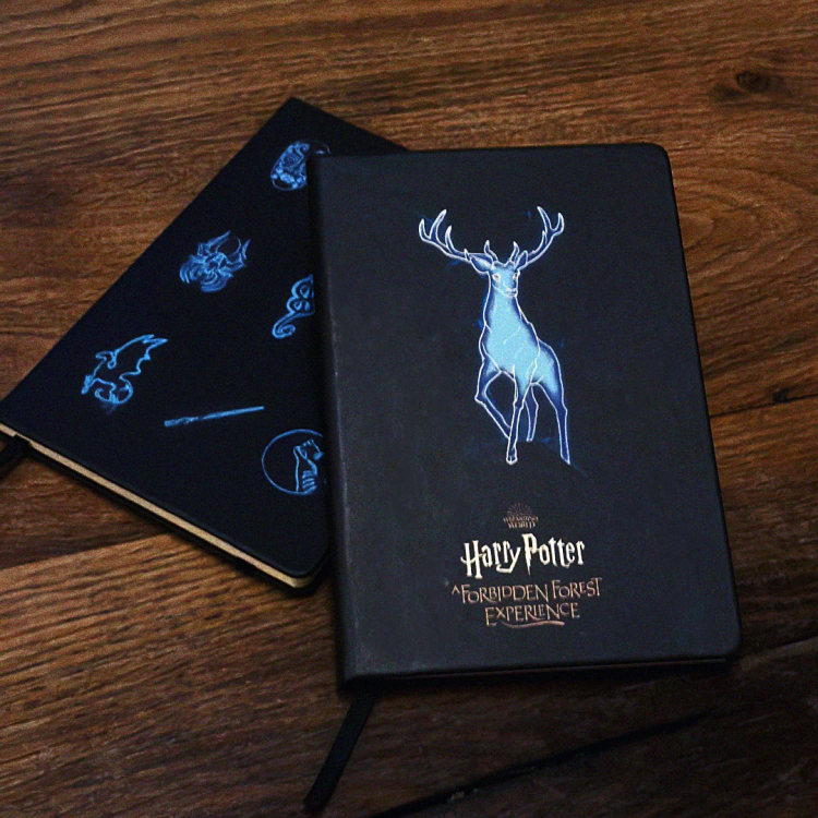 Black notepad with neon patronus and other characters.