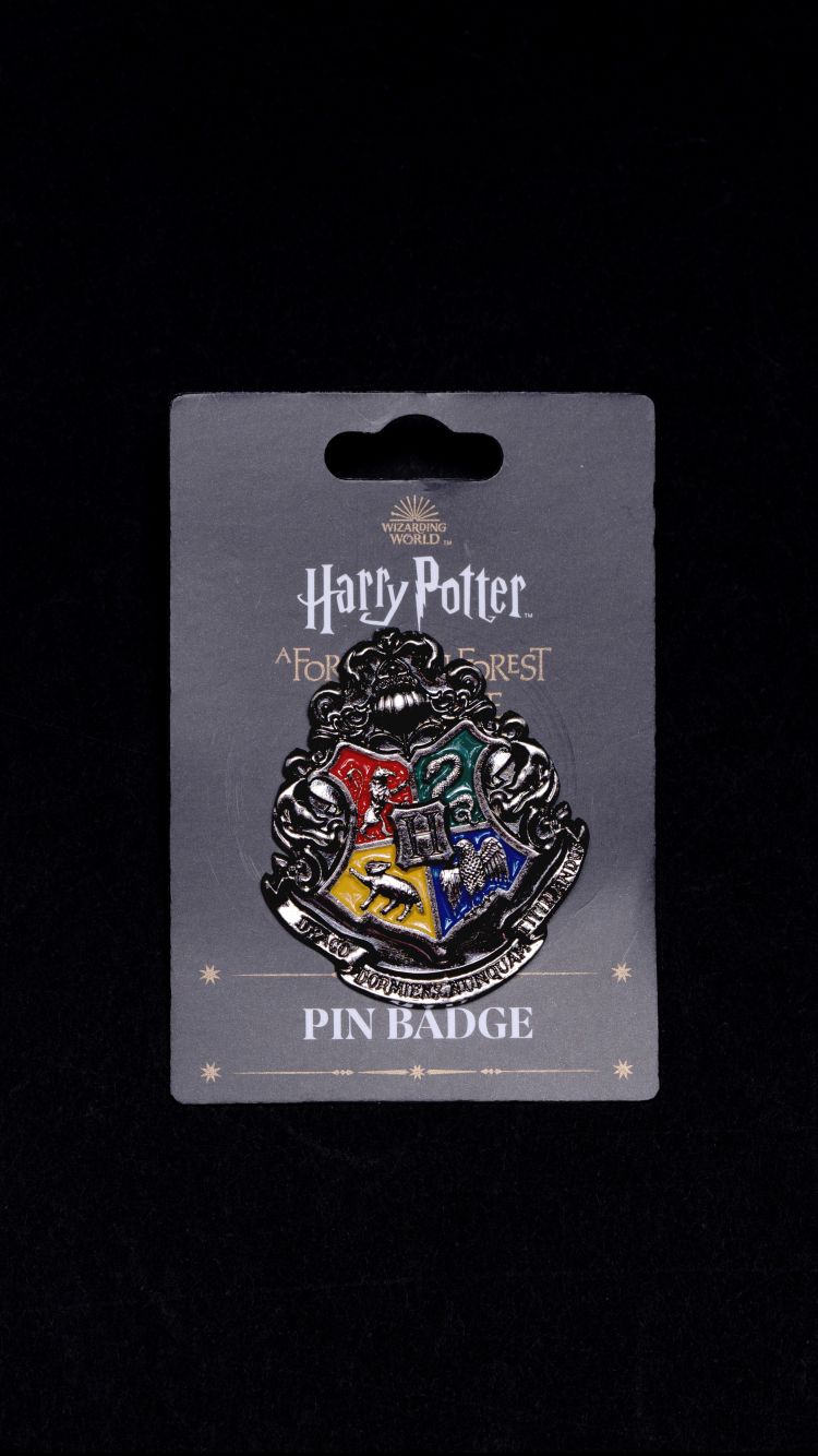 Pin badge with the various houses.
