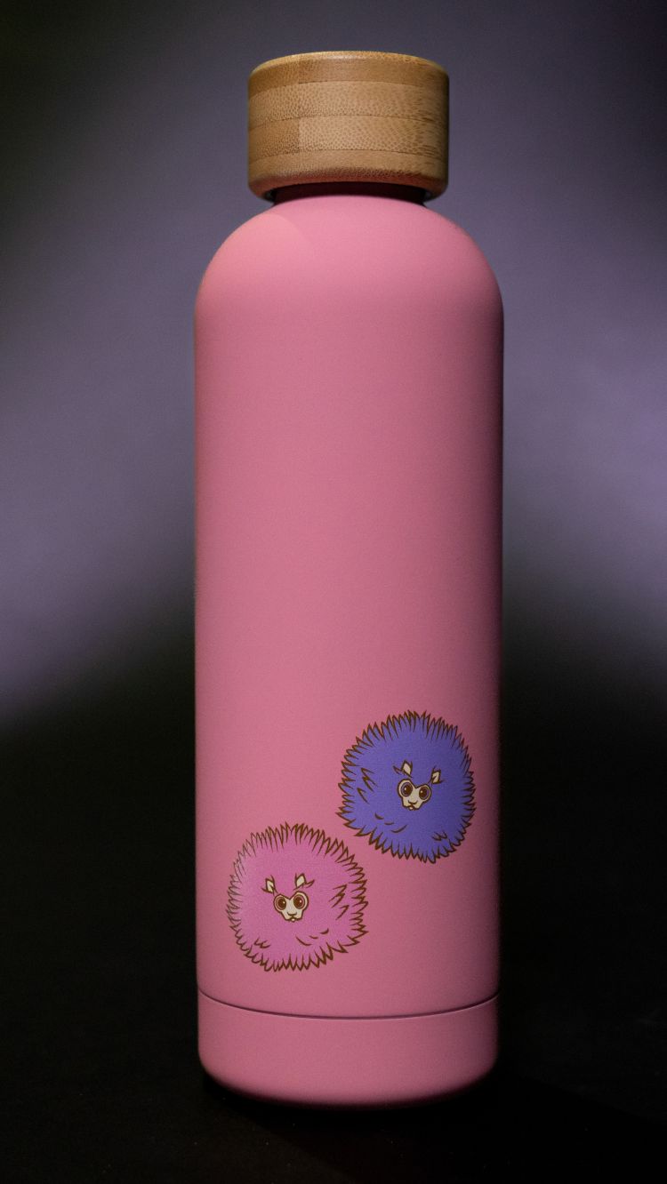 Pink water bottle with characters.