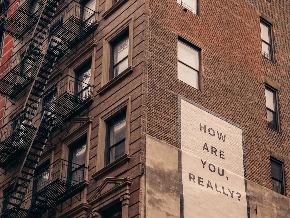 finn-nJupV3AOP-U-unsplash.