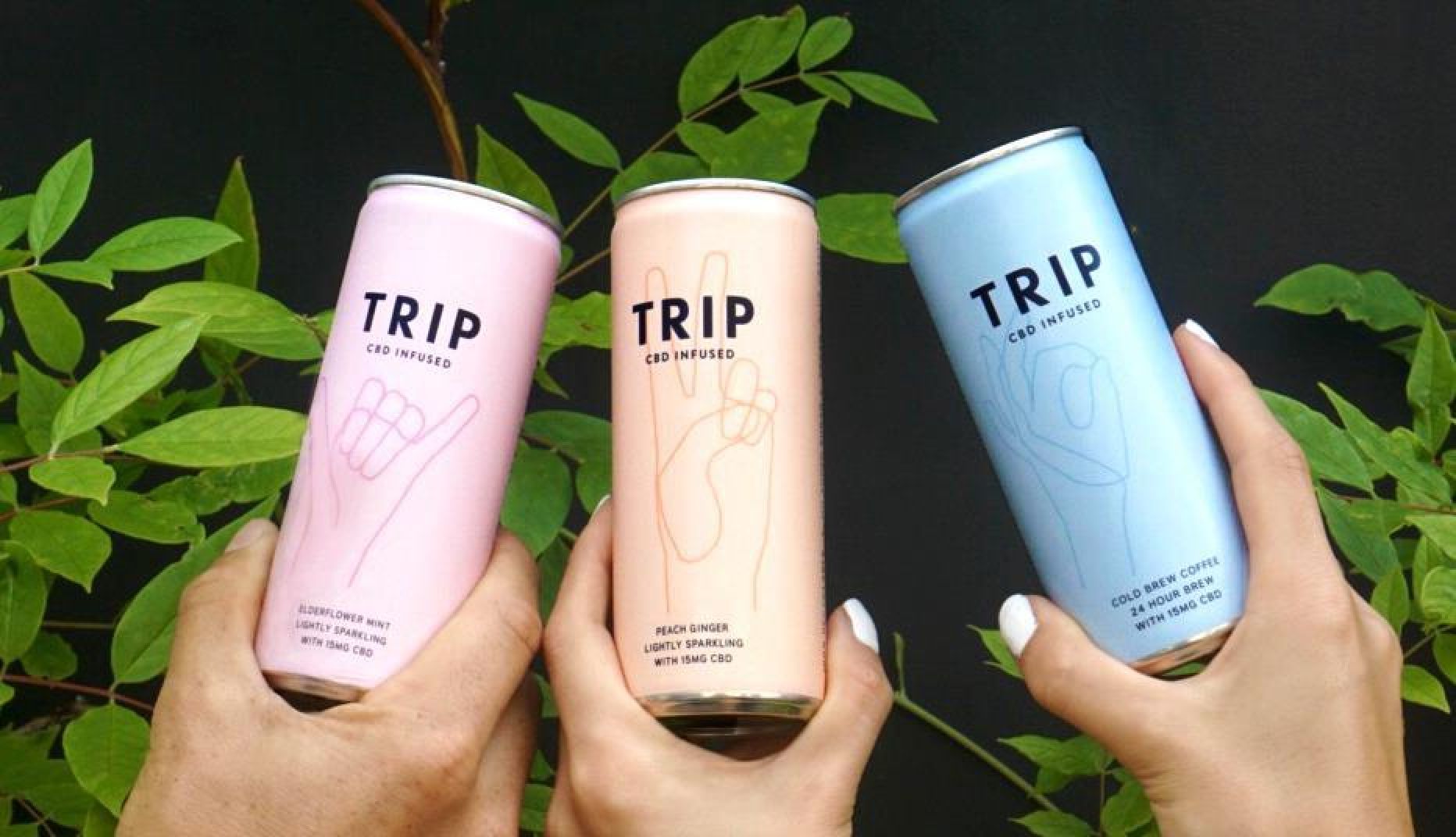 167195_tripcantrio_265734_crop.