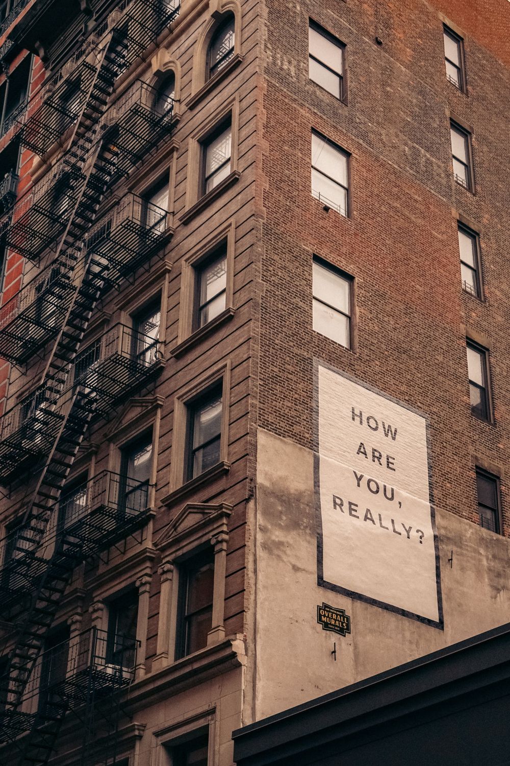 finn-nJupV3AOP-U-unsplash.