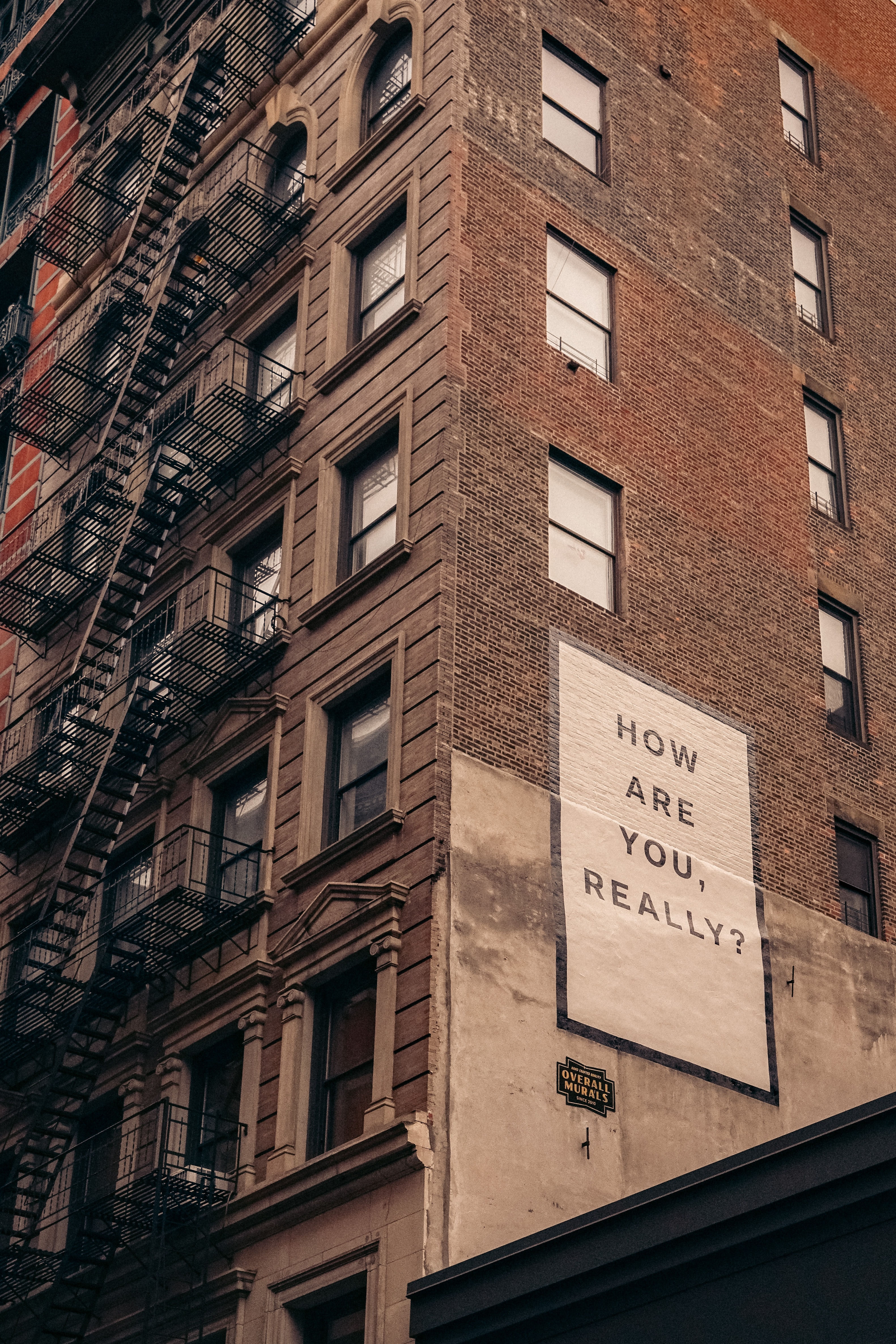 finn-nJupV3AOP-U-unsplash.